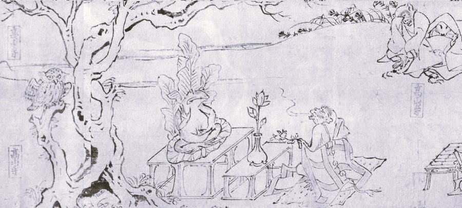 青蛙本尊