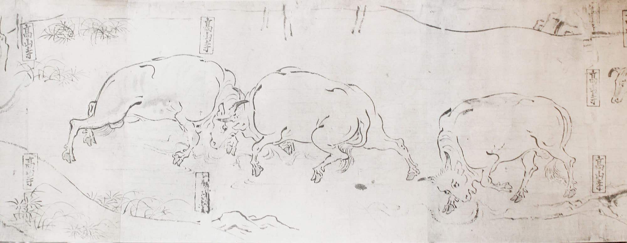 鸟兽戏画乙卷