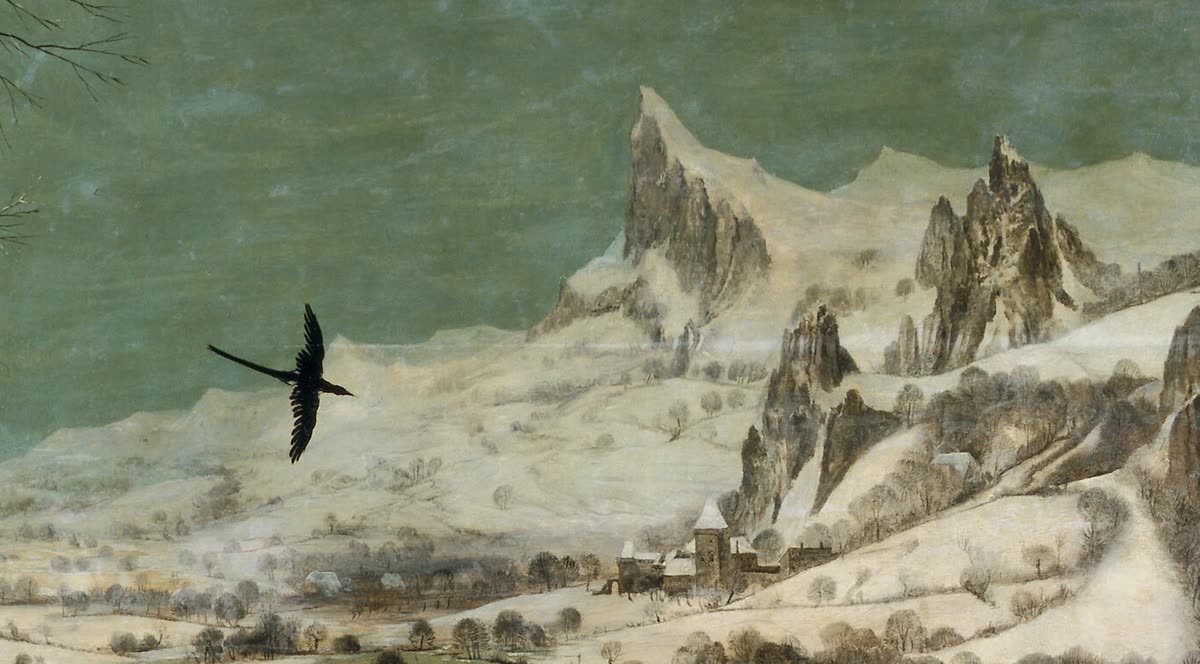 飞鸟与雪山