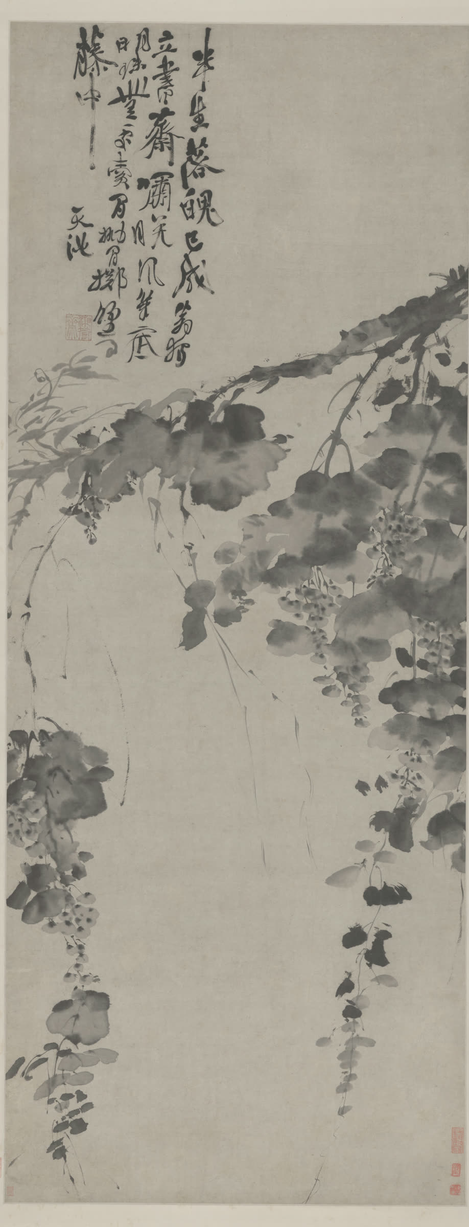 徐渭《墨葡萄》