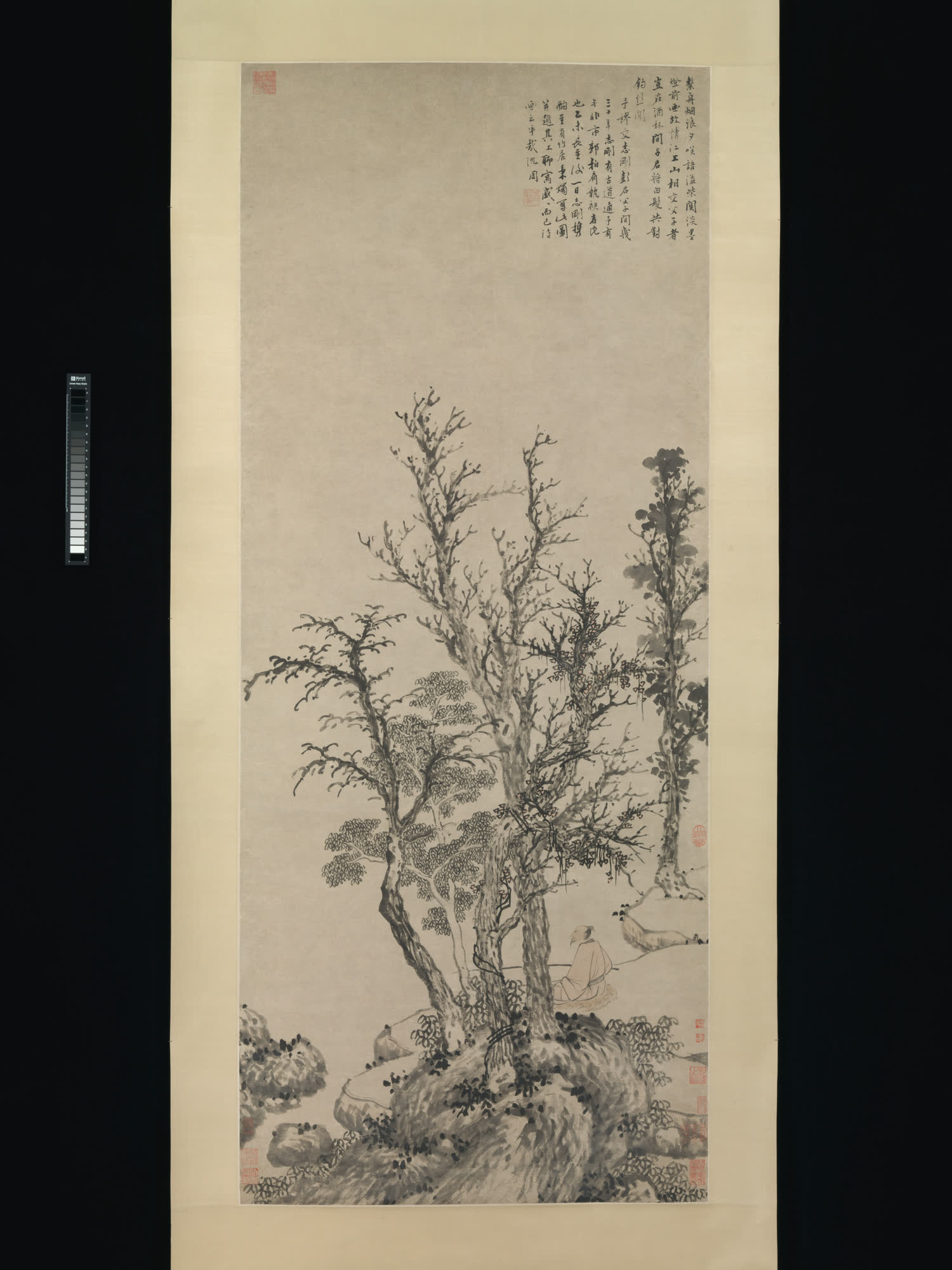 沈周《秋林静钓》