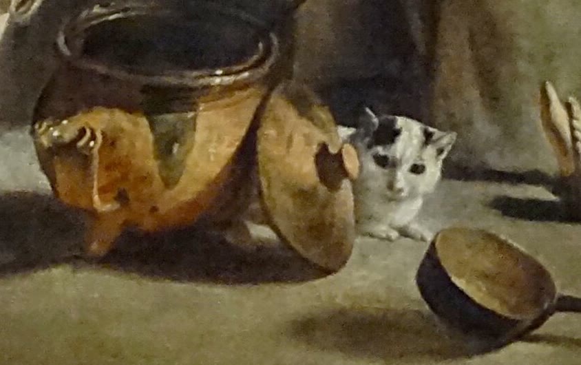 铜锅与猫