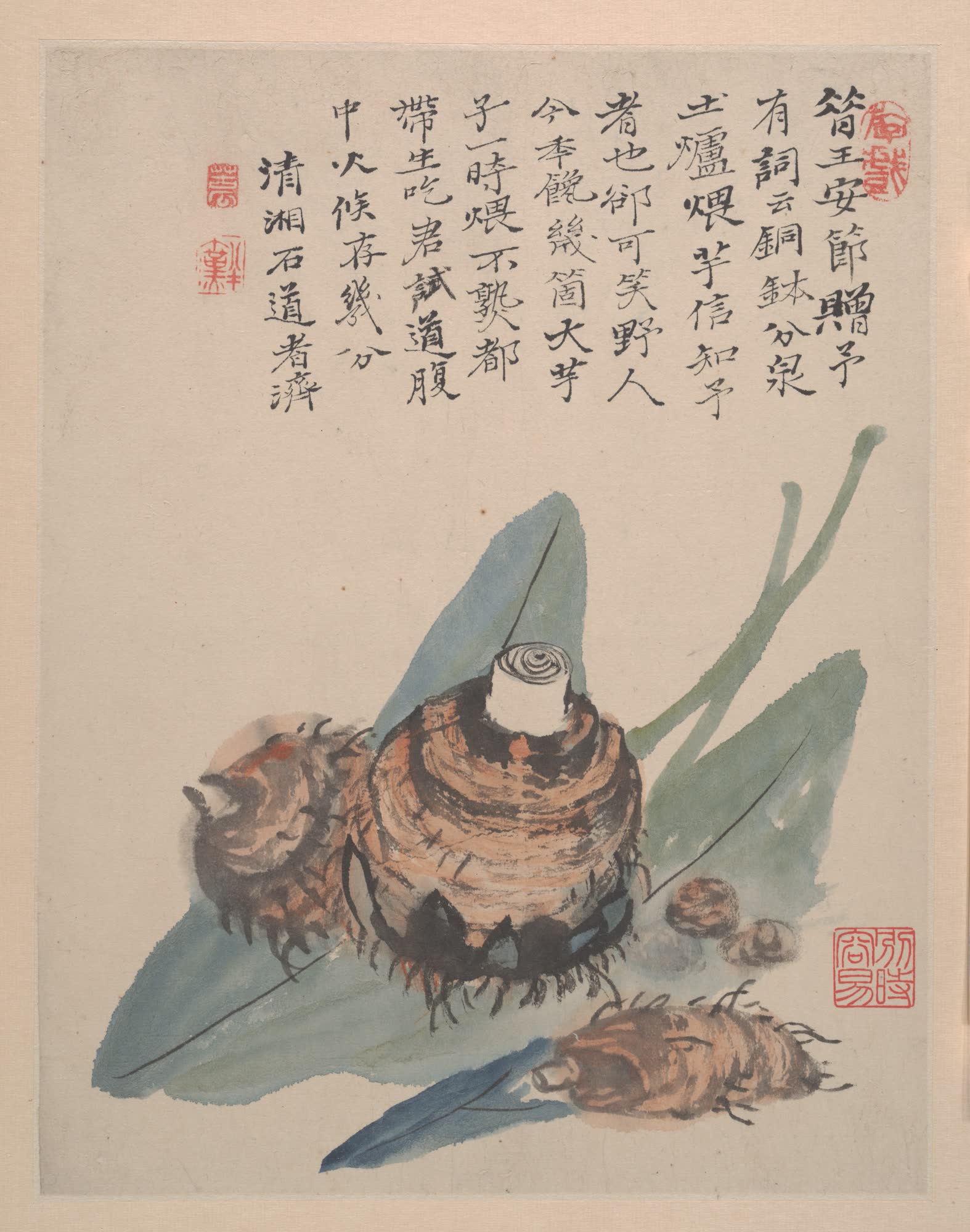 石涛《野色》册之芋头