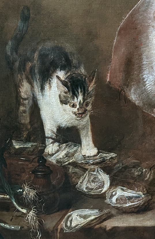 猫和生蚝