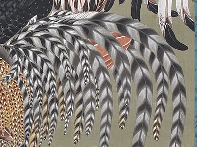 尾羽花纹