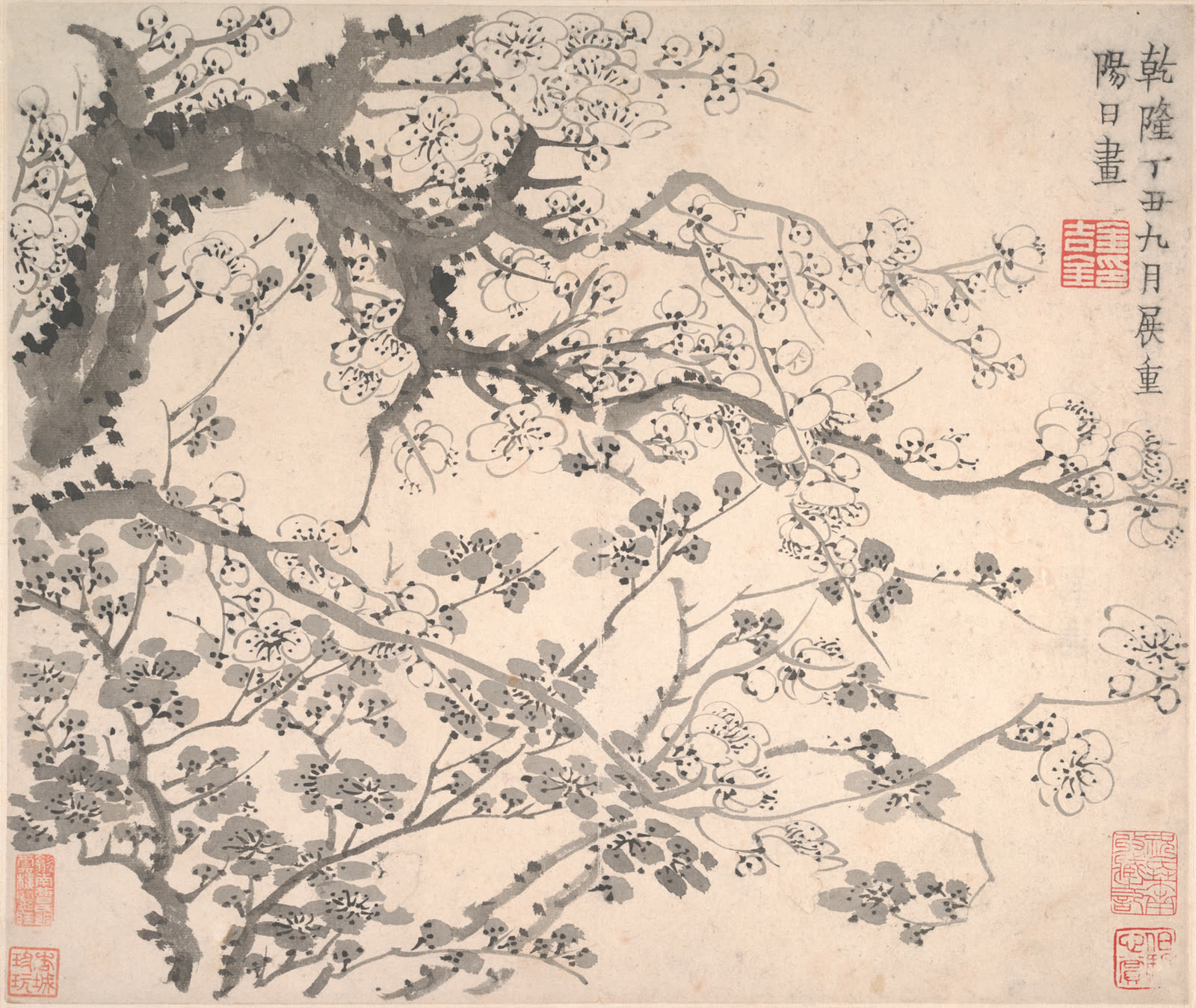 金农《梅花图册》