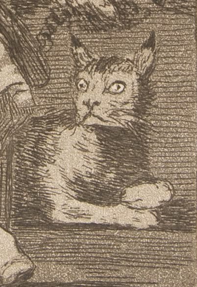 猞猁