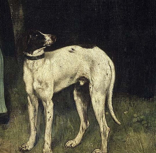 狗