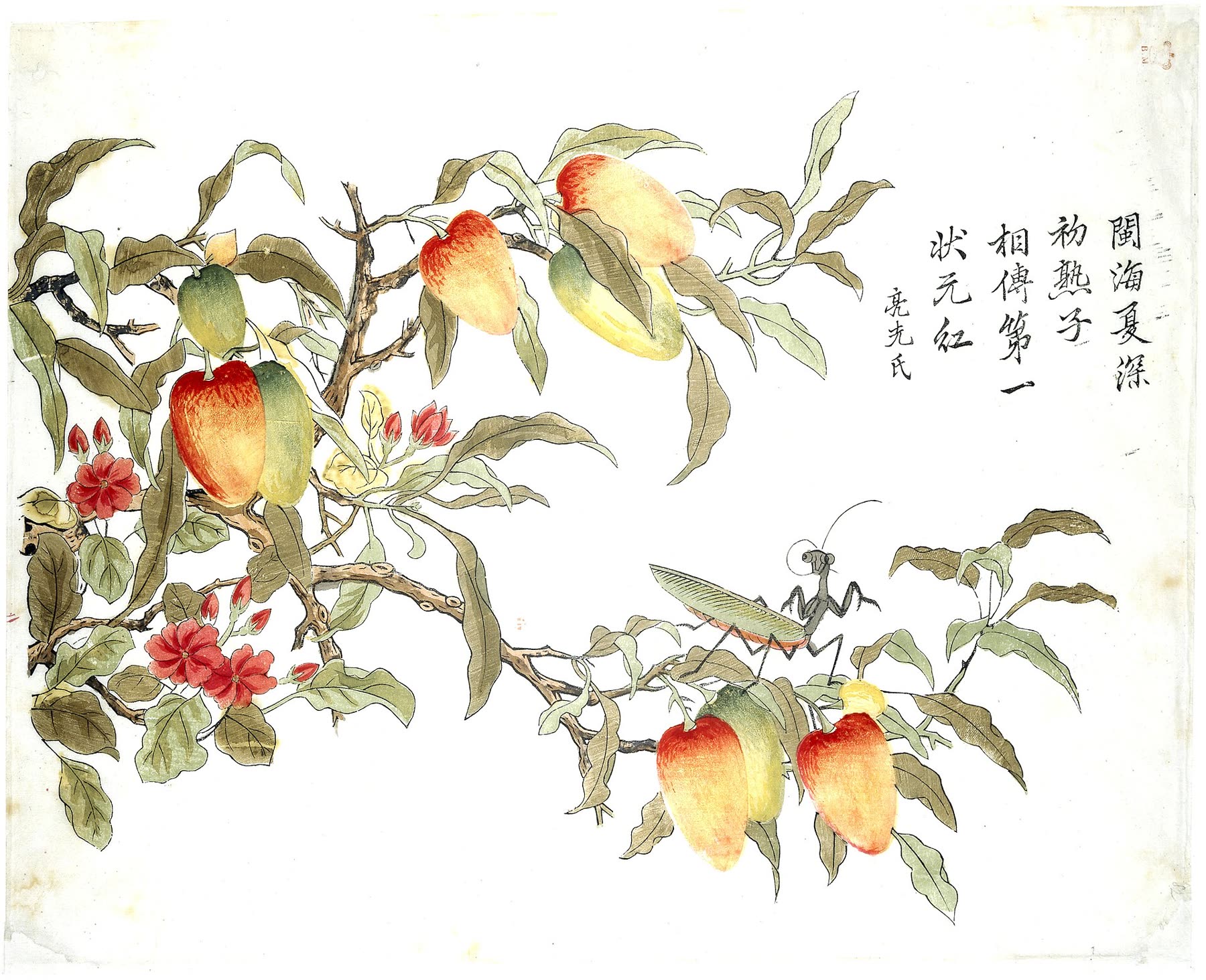 丁亮先《杨梅与蚱蜢》