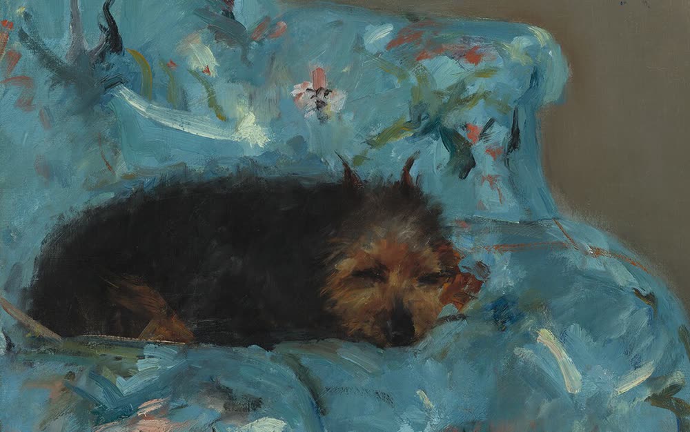 小狗