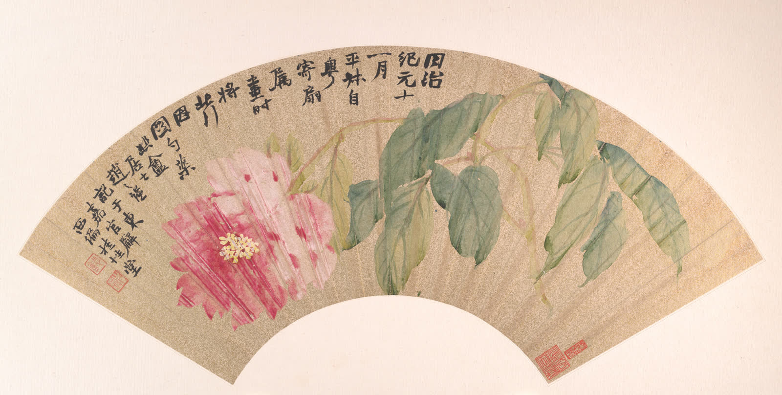赵之谦《芍药》扇面