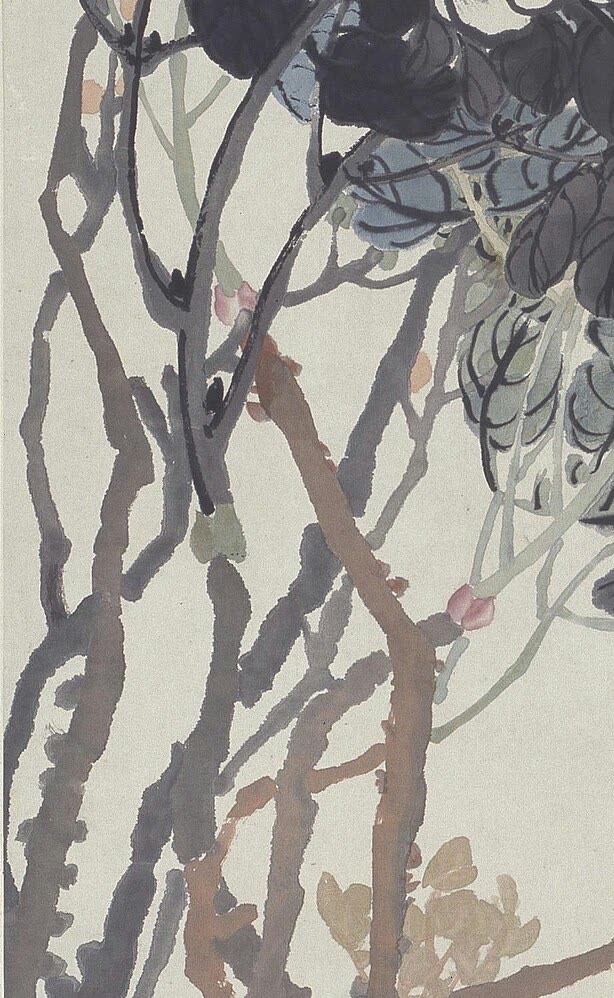 枝条局部