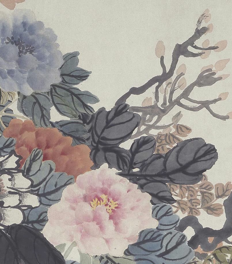 牡丹花局部