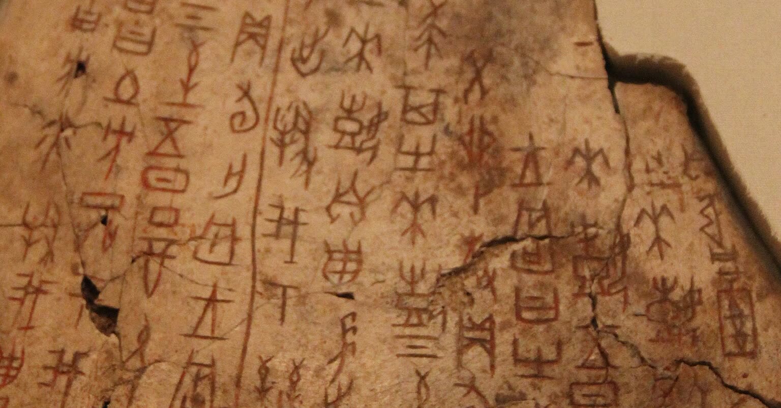 商代刻辞牛肩胛骨局部，竖行刻写的甲骨文