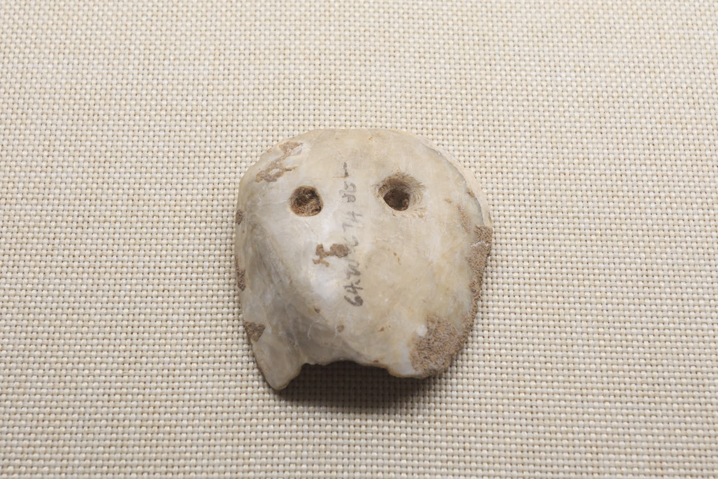 仙人洞的双孔蚌器