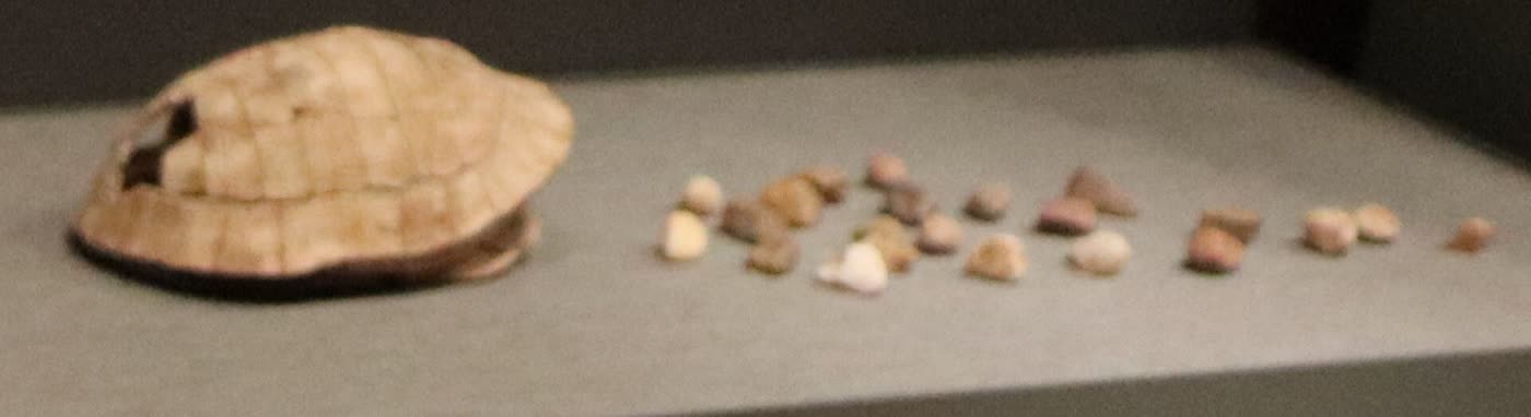 贾湖的龟甲和石子