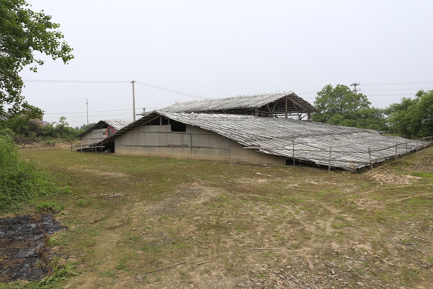 上山遗址