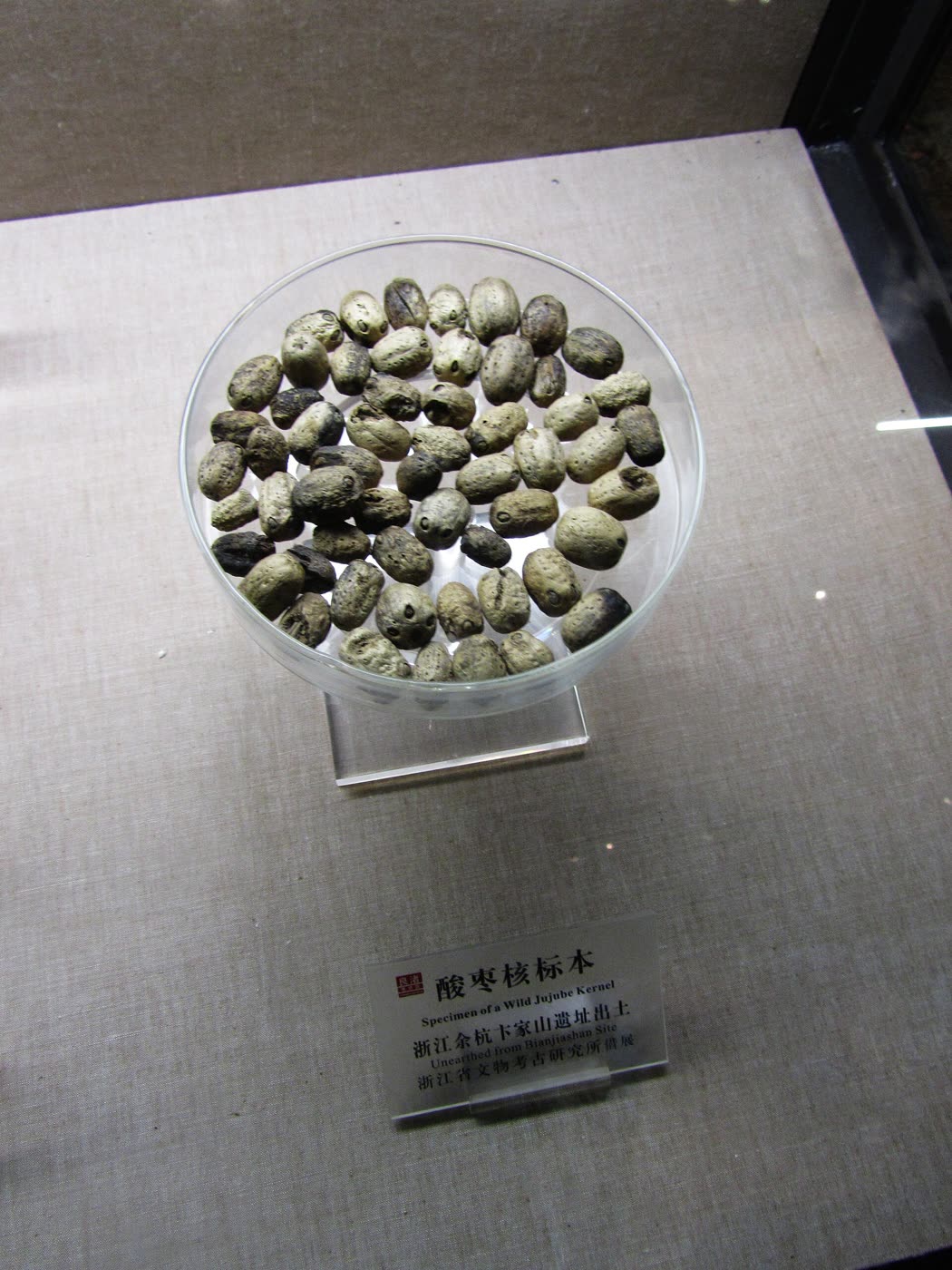 卞家山的酸枣核