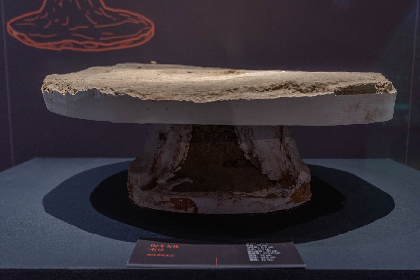 陶寺的木豆